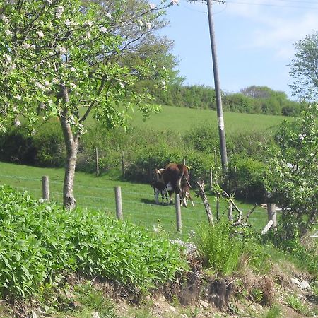 Staylittle Farm Dolgellau Esterno foto