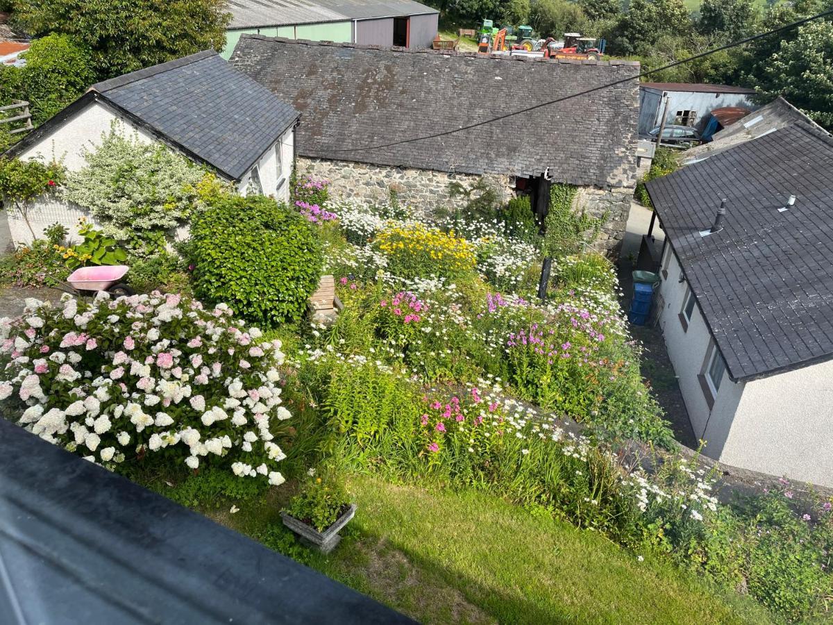 Staylittle Farm Dolgellau Esterno foto
